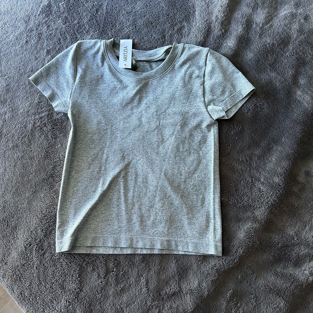 Aritzia Gray Short Sleeve Tee